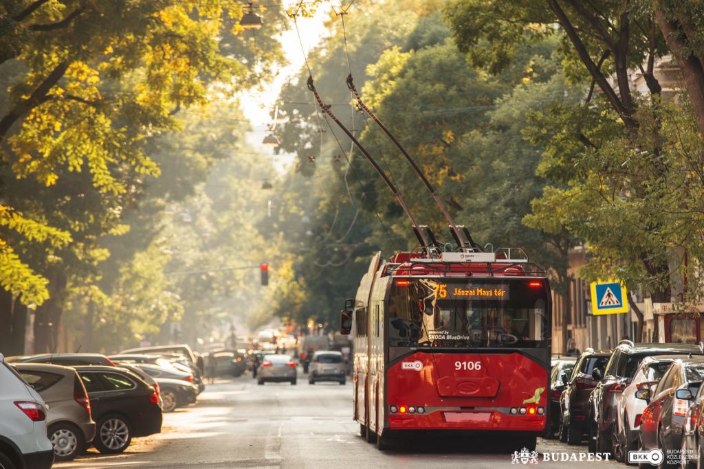 trolley bus driving down street